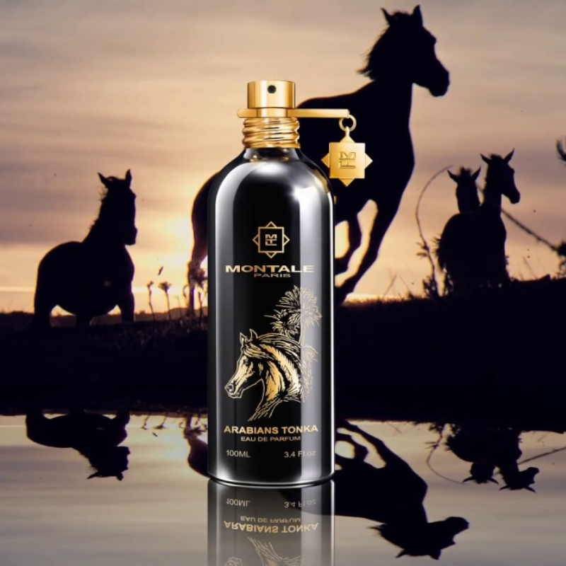 Arabians Tonka Montale