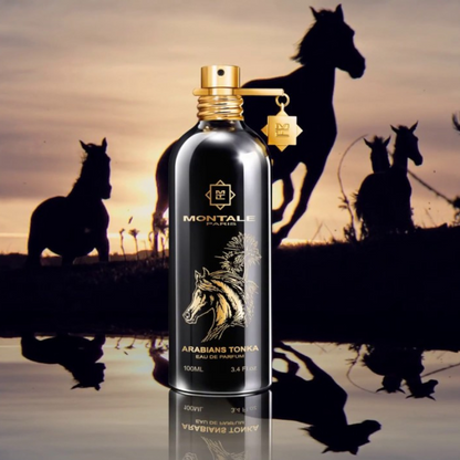 Arabians Tonka Montale